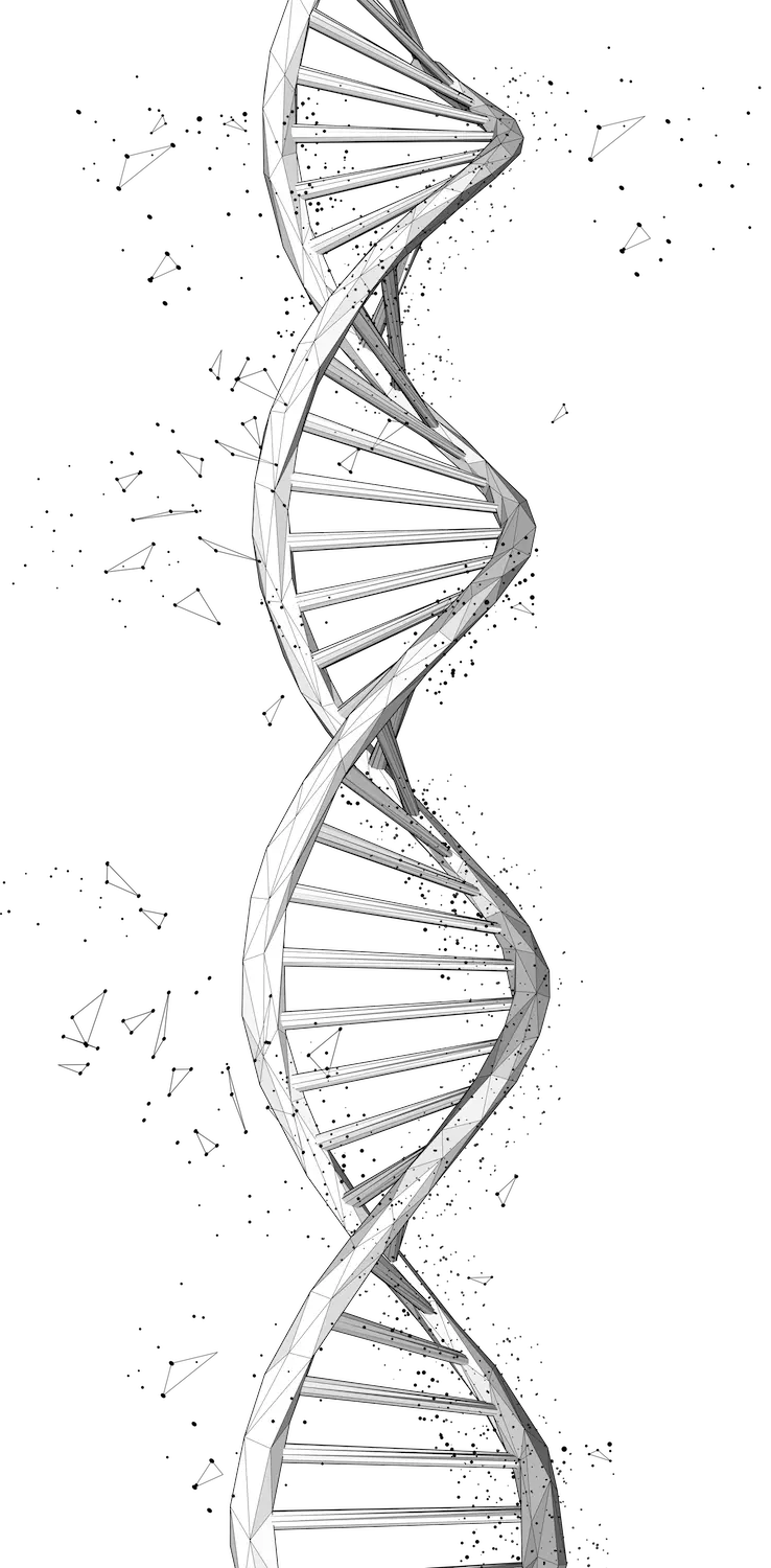 Sante DNA Image